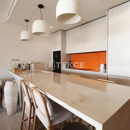 Tekce South Leiro 403